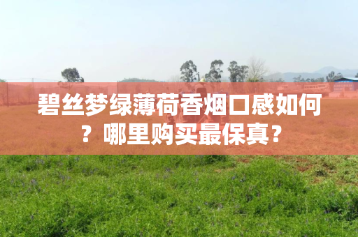 碧丝梦绿薄荷香烟口感如何？哪里购买最保真？